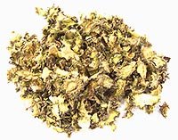 hoodia chips Hoodia Gordonii raw material